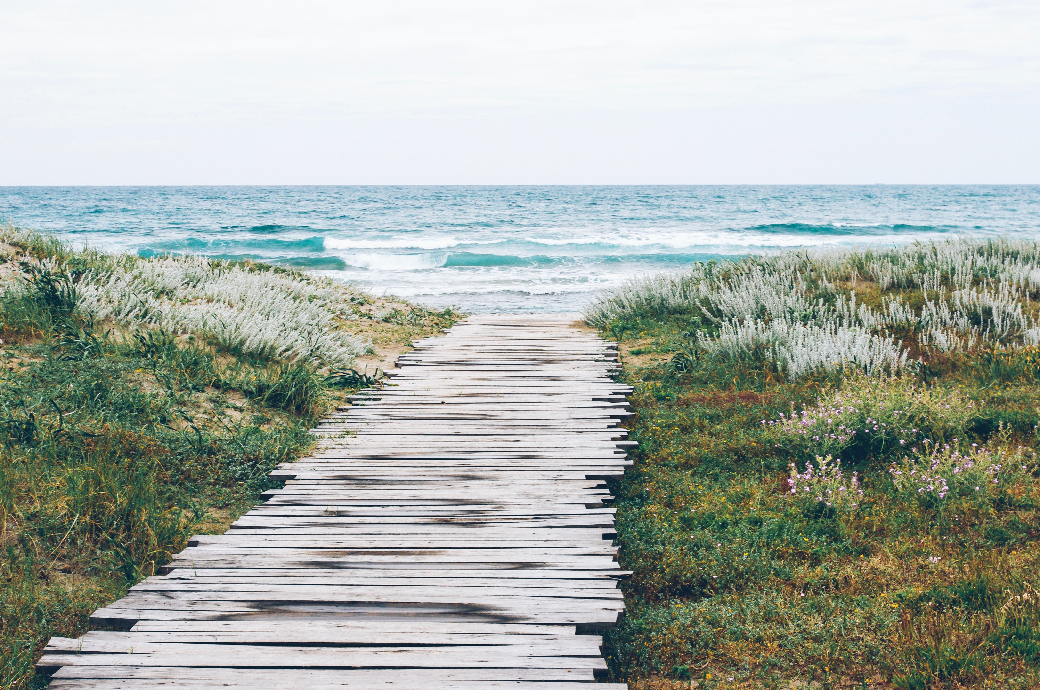 Wood Planks leading to Ocean