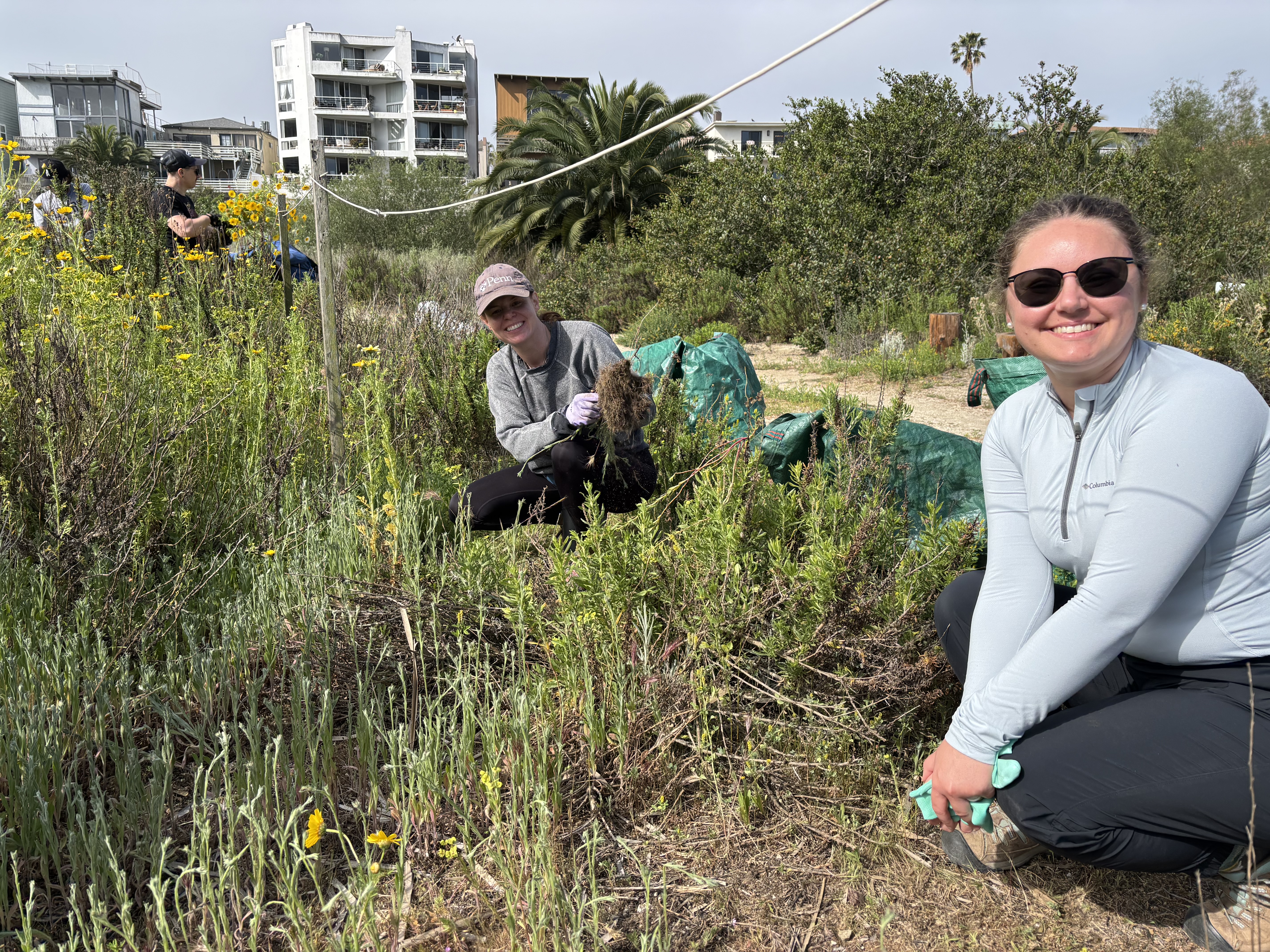 Two women pulling weeds in the Ballona Wetlands