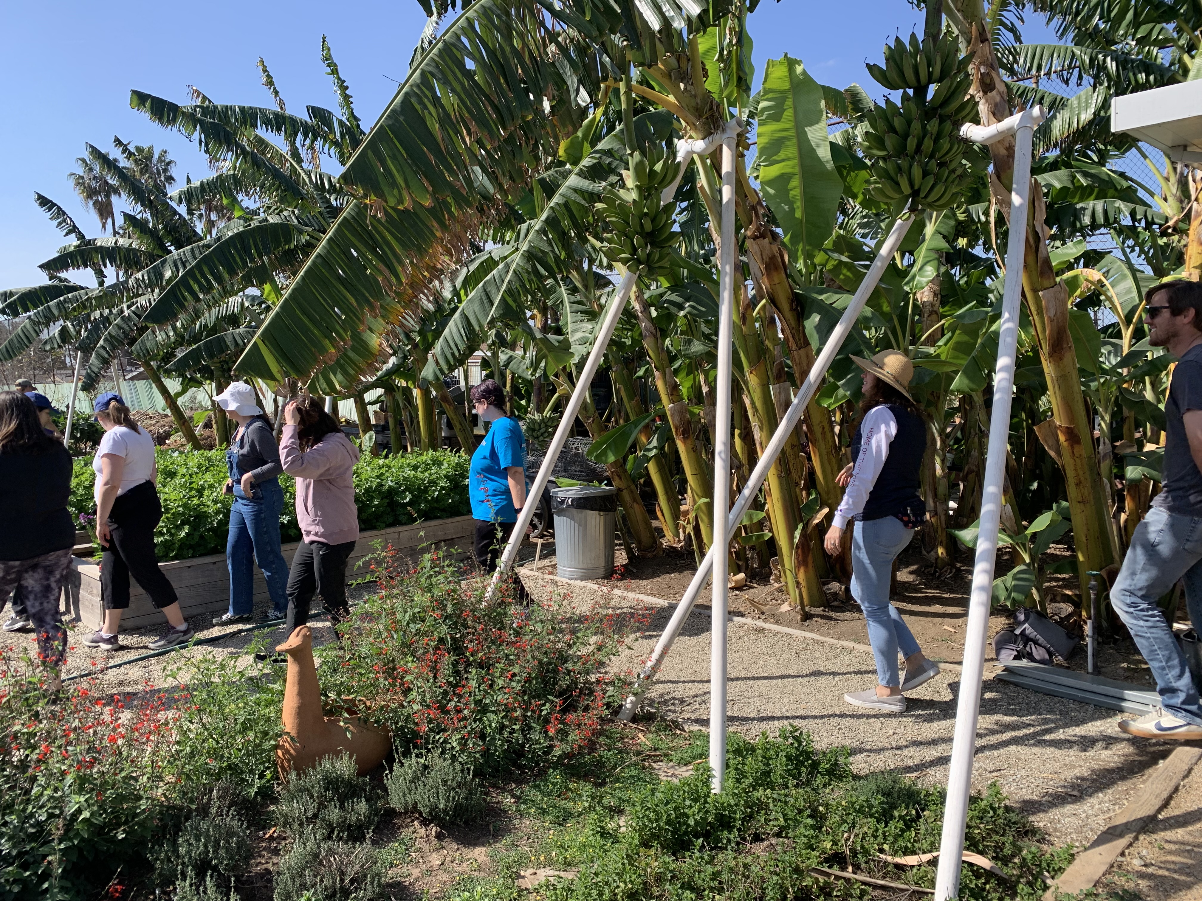 Companions in Mission members explore Alma Backyard Farms