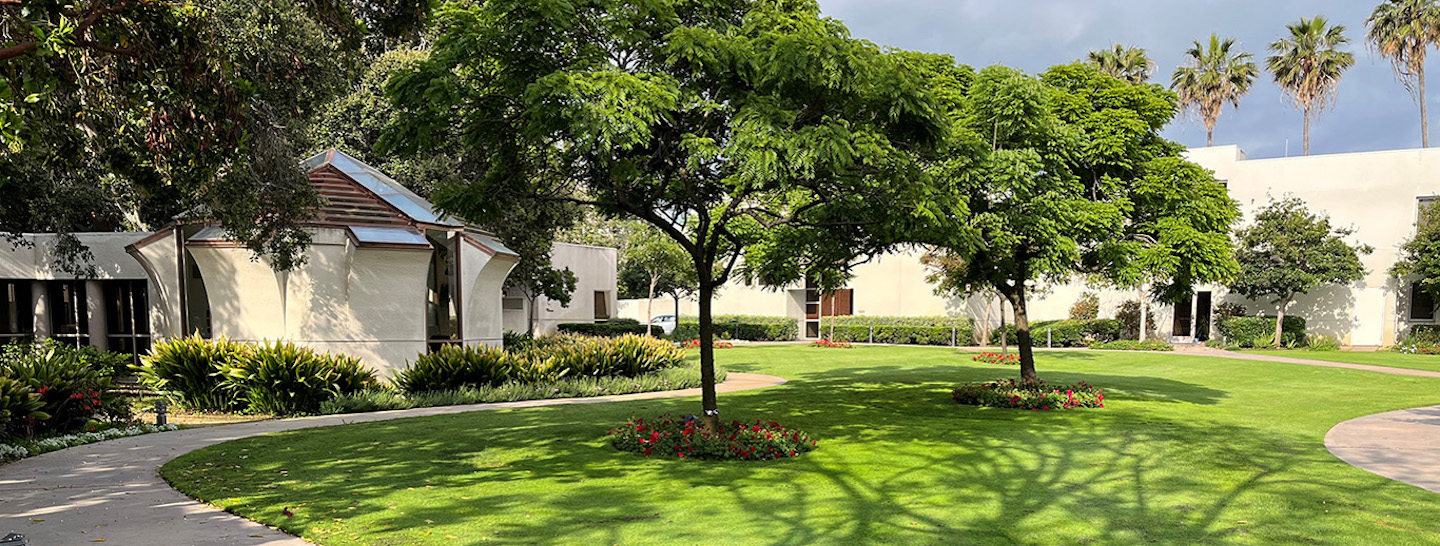 View of Jesuit Community trees and garden